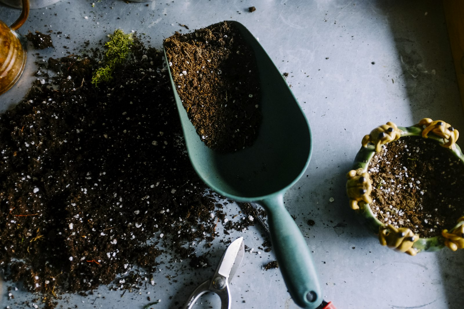 Plant Nutrition